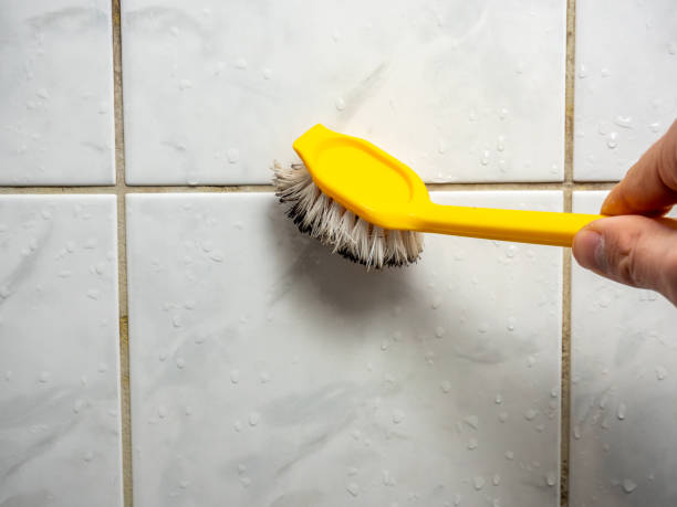 Best Toxic Mold Removal  in Elkhorn, WI