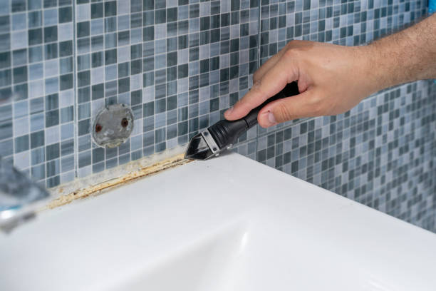 Best Fast Mold Removal  in Elkhorn, WI